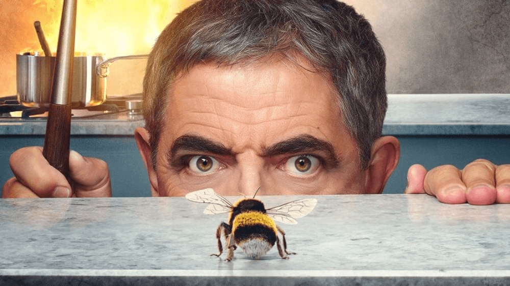 Man VS Bee