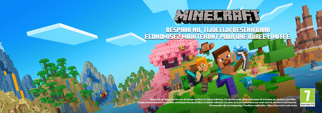 Promotion Minecraft Vanilla