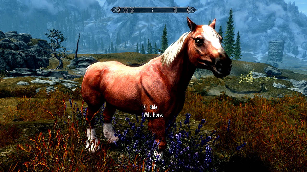 Skyrim. ride a horse