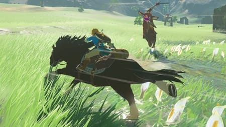 Zelda botw screenshots