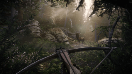 Hunting deer with a crossbow