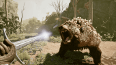 Fighting an infected bear