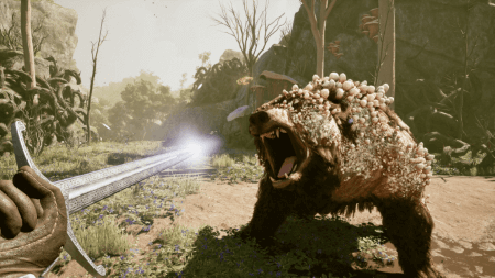 Fighting an infected bear