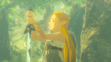 Zelda holding the sword